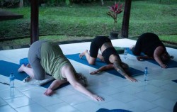 Yin Yoga Flow image, Sesandan House of Healing, Bali Wellness Retreats