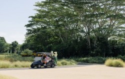 Bali National Golf Club, Cart