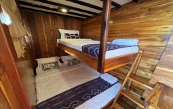 Deluxe Cabin,Komodo Open Trips,Open Trip 3D2N by Carnaby Luxury Phinisi