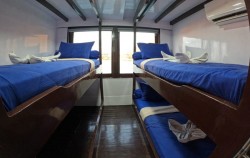 Sharing Cabin,Komodo Boats Charter,Private Trip by Invictus Deluxe Phinisi