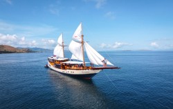 Phinisi Boat,Komodo Open Trips,Open Trip 3D2N by Navila Luxury Phinisi