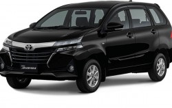 Lombok One Way Transfer from Airport with Avanza, Lombok Transfers, Avanza