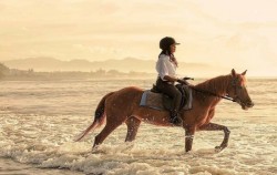 Sunset Riding image, Saba Horse Riding, Bali Horse Riding