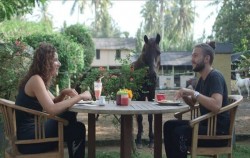 Eat with Horse,Bali Horse Riding,Saba Horse Riding