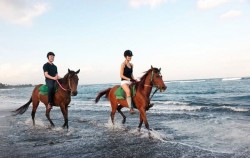 Saba Horse Riding, Short Riding