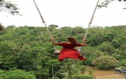 Bali Swing image, Bali Double Packages, Bali Tour Packages