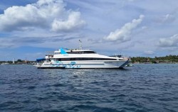 Ship,Bali Cruise,Private Cruise by Bali Fun Ship