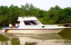 Mangrove Jungle Tour, Mangrove Jungle Tour