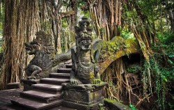 Bali Double Packages, Ubud